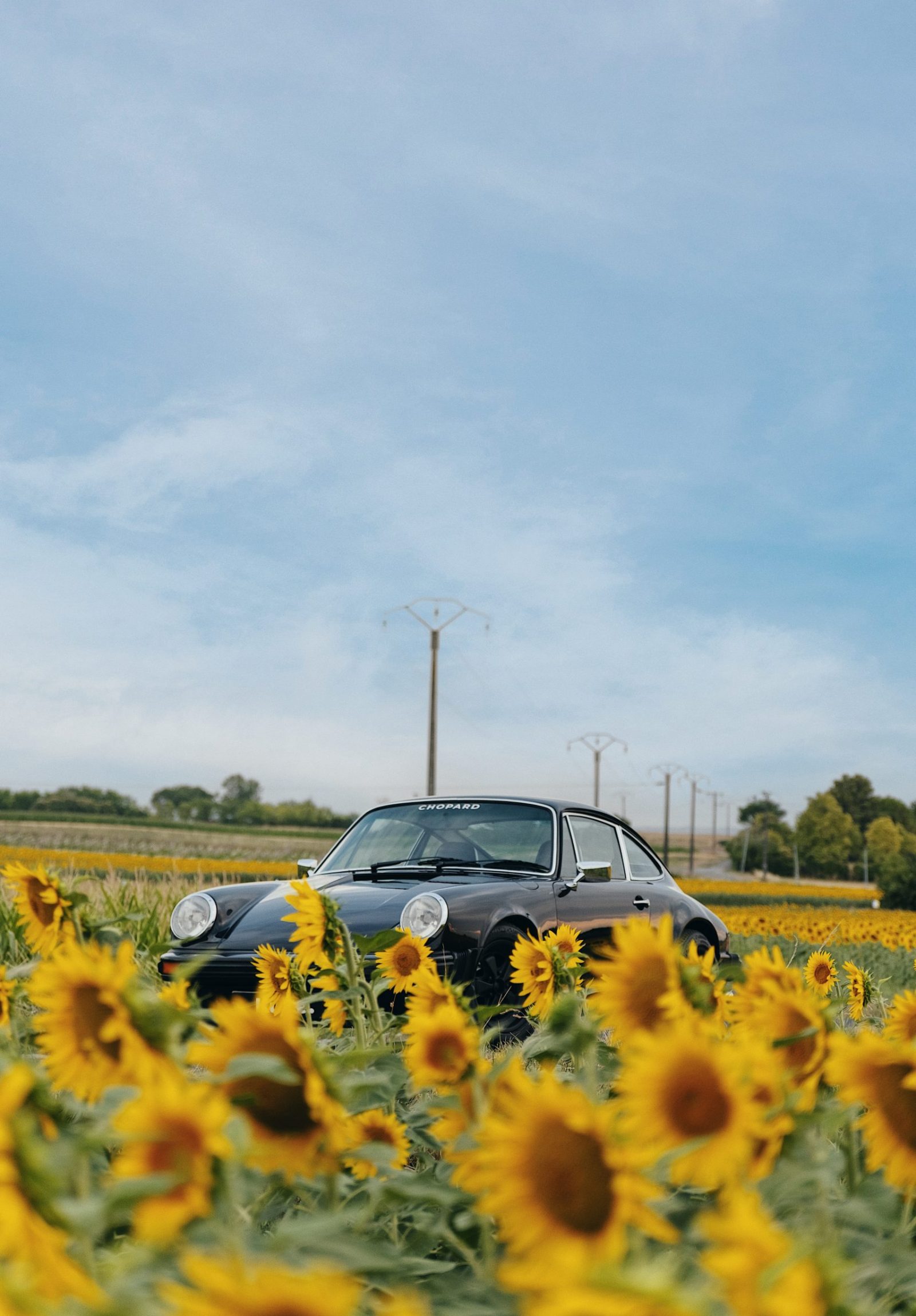 Processed with VSCO with ka1 preset